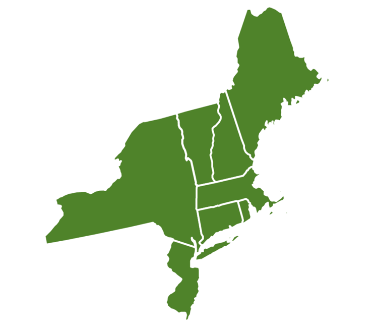 Green graphic of Northeast United States 