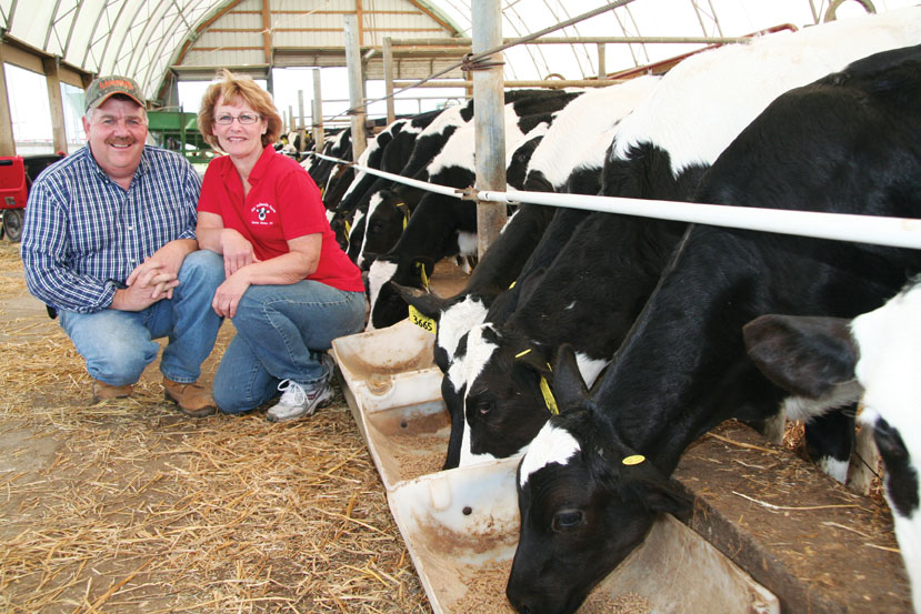 Ron and Nancy Robbins of North Harbor Dairy squat down by a lineup of their dairy cows eating