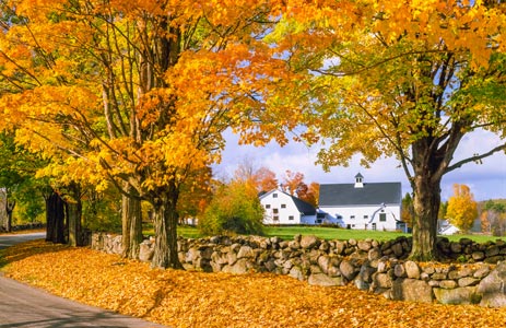  New Hampshire farm in autumn foliage 