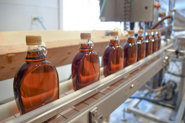 Bottles of maple syrup line a rack in a small syrup production facility 