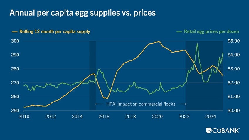 Annual per capita egg supplies versus prices 2010-2024