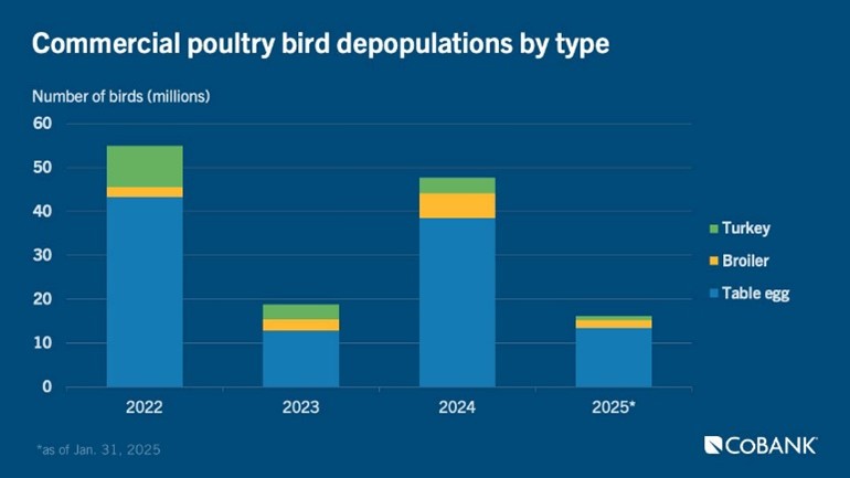 Commercial poultry depopulations by type 2022-2025