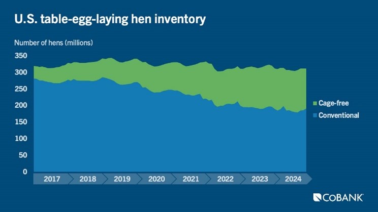 US Table egg laying hen inventory 2017-2024