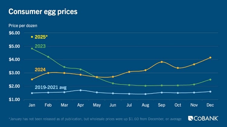 Consumer egg prices 2019-2025 monthly